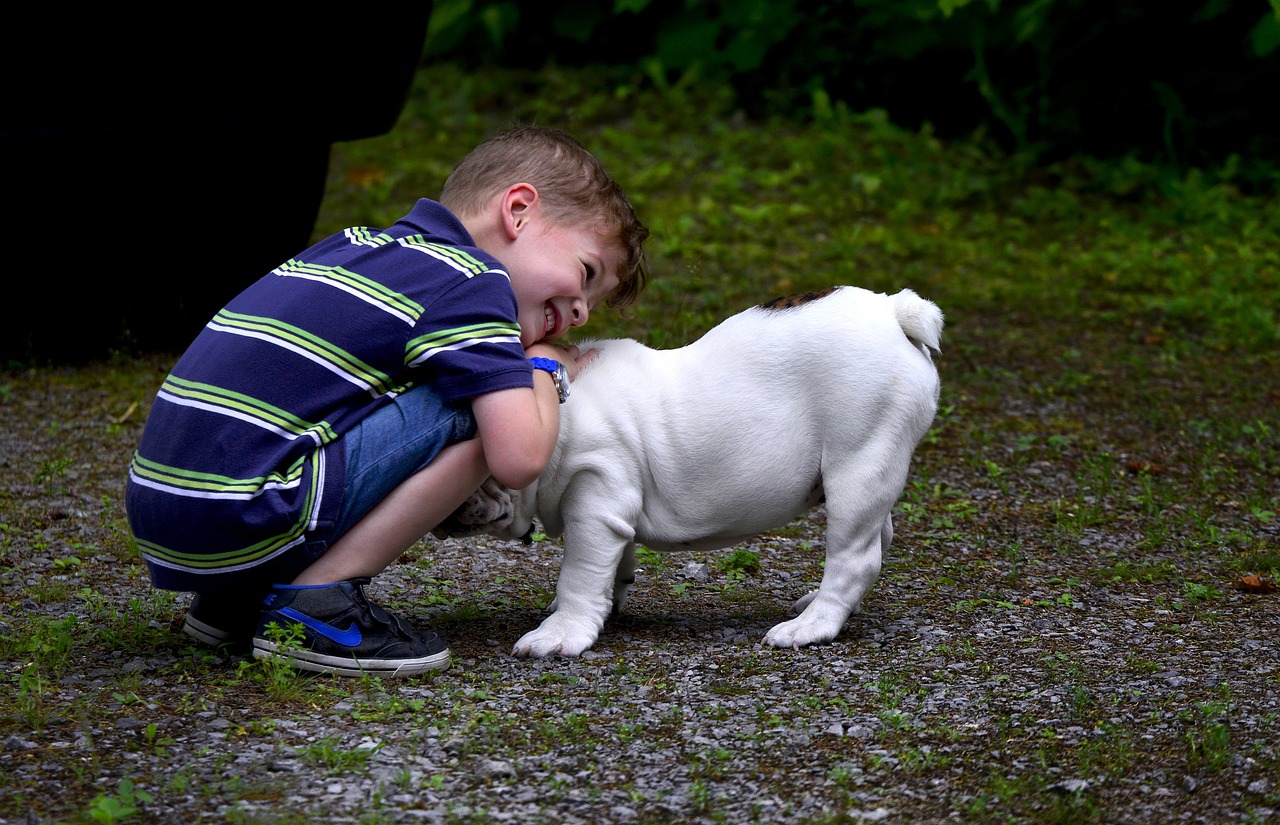 Das Zusammenleben mit Haustieren – eine Gefahr für Kinder?! 